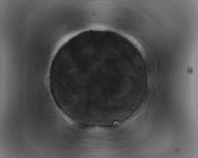 X0000101421327200808041119