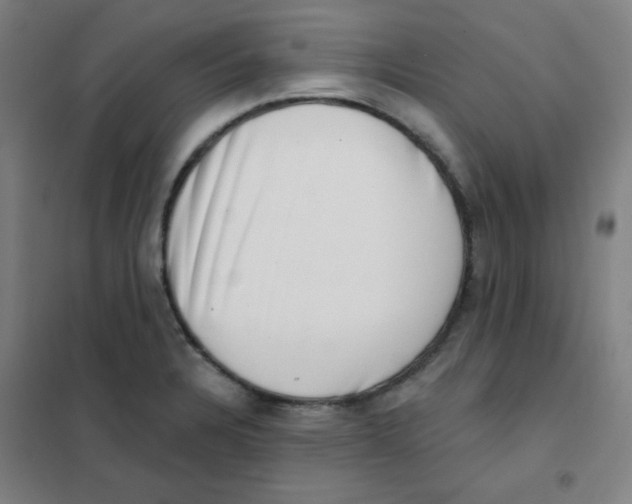 X0000101421328200808041119
