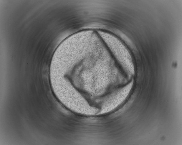 X0000101421329200808041119