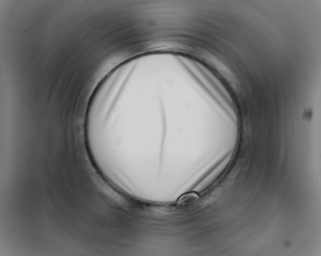 X0000101421330200808041119
