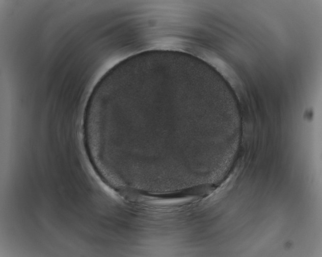 X0000101421331200808041119