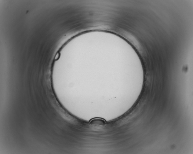 X0000101421332200808041119