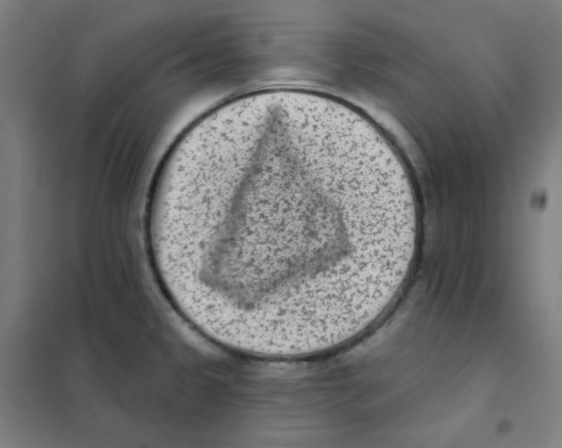 X0000101421333200808041119