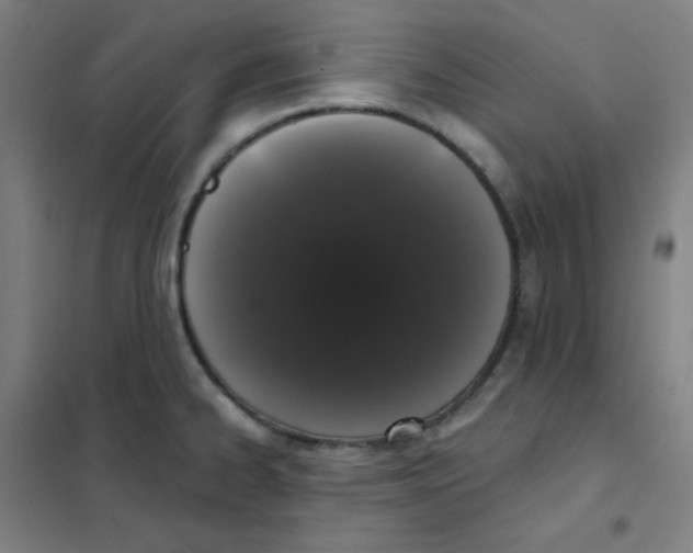 X0000101421334200808041119