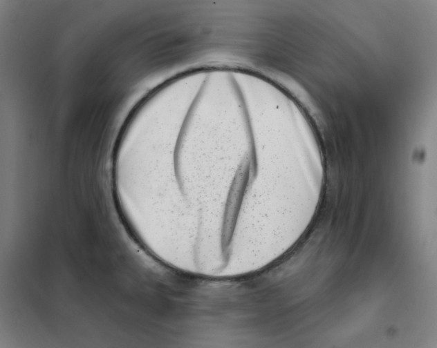 X0000101421335200808041119