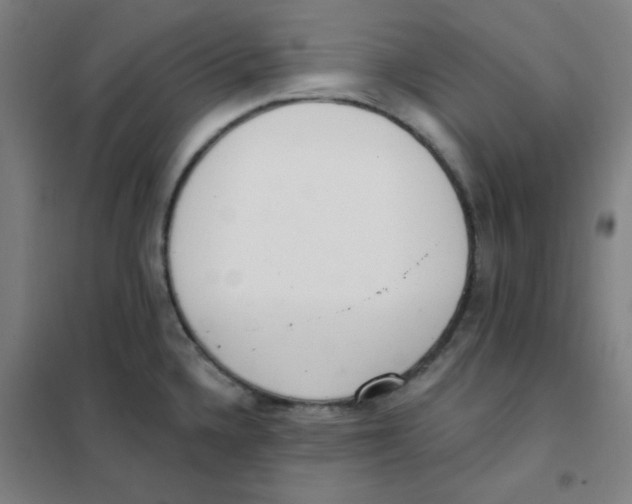 X0000101421336200808041119