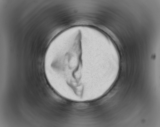 X0000101421337200808041119