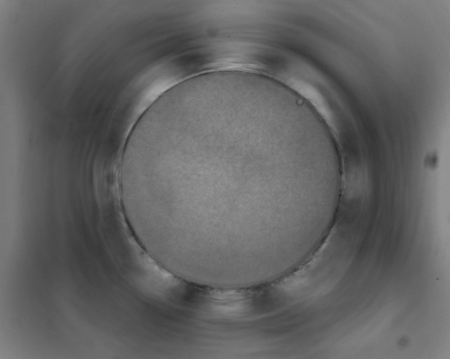 X0000101421338200808041119