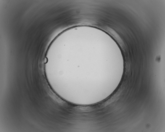 X0000101421340200808041119