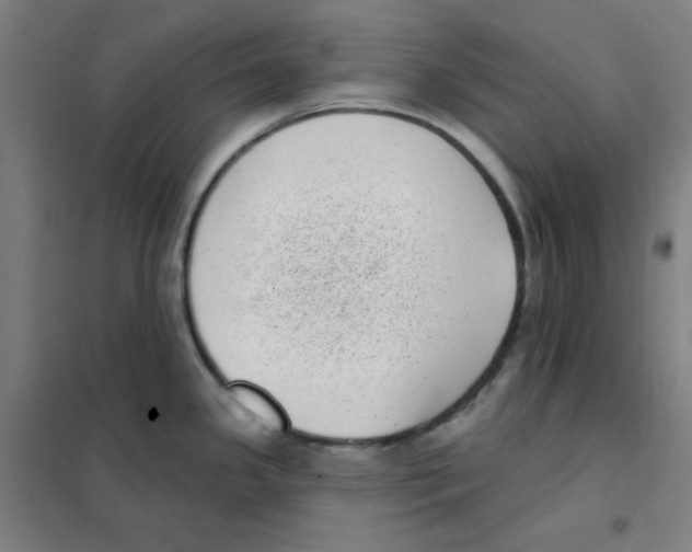 X0000101421341200808041119