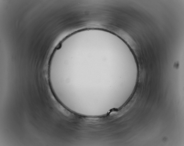 X0000101421342200808041119