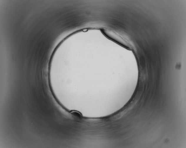 X0000101421343200808041119