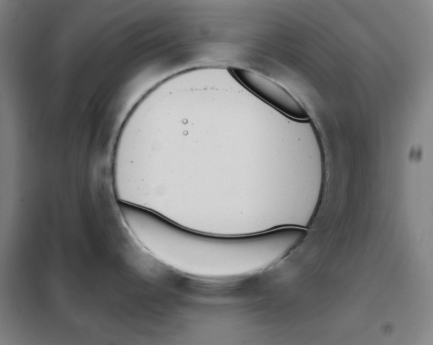 X0000101421344200808041119