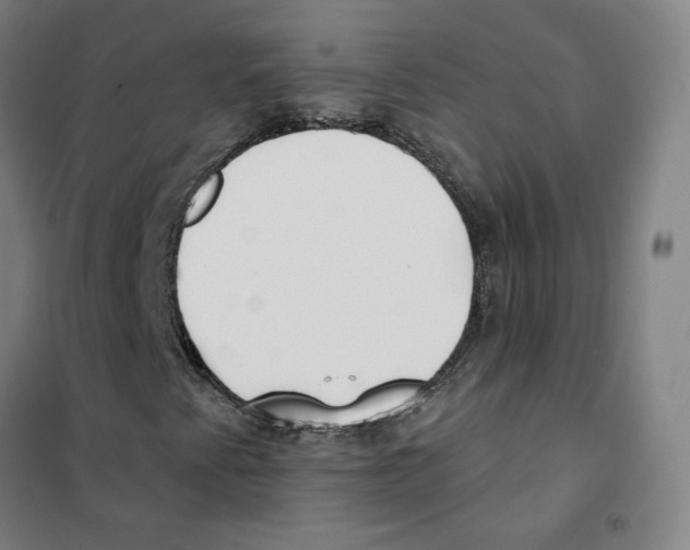 X0000101421345200808041118