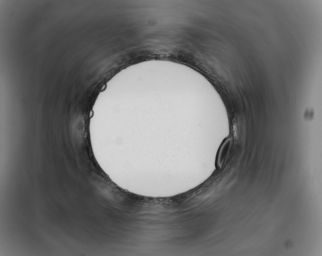 X0000101421347200808041118