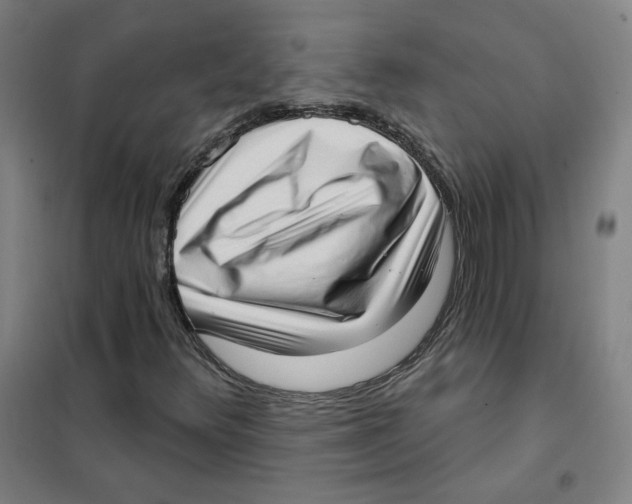 X0000101421348200808041118