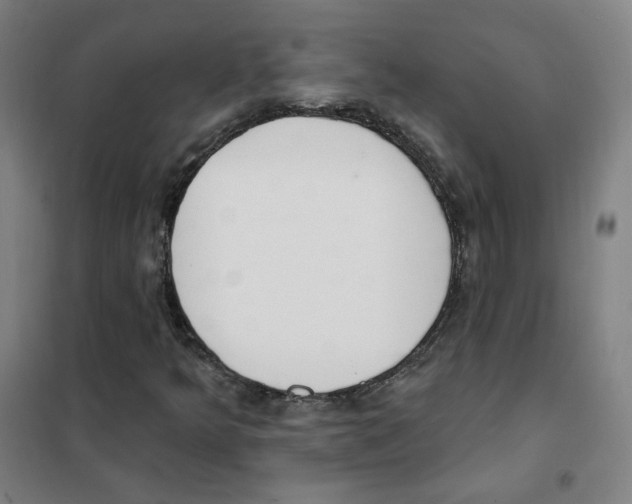 X0000101421349200808041118