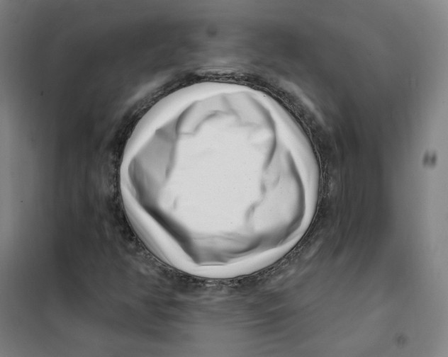 X0000101421350200808041118