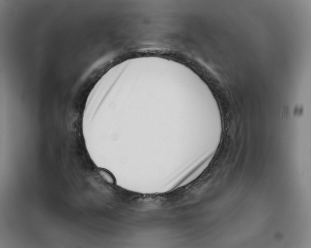 X0000101421351200808041118