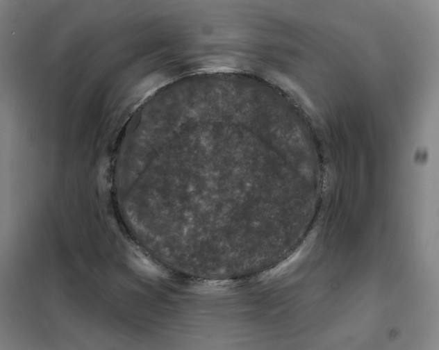 X0000101421353200808041118