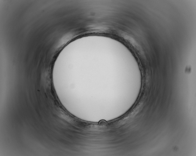 X0000101421354200808041118