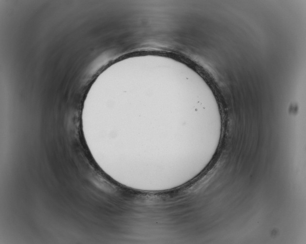 X0000101421355200808041118