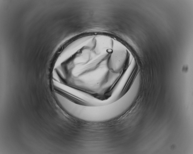 X0000101421356200808041118