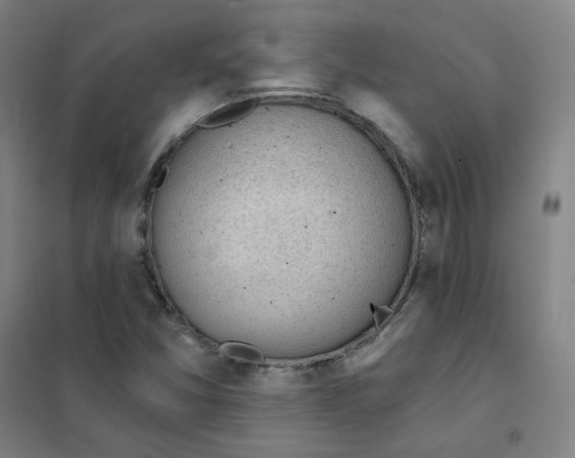 X0000101421357200808041118