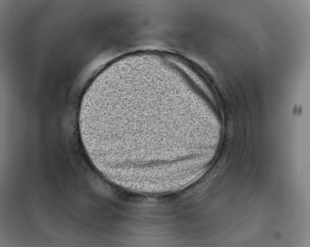 X0000101421359200808041118