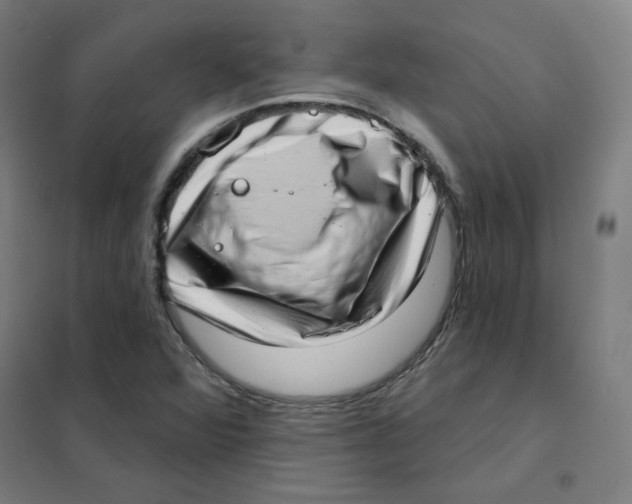 X0000101421360200808041118