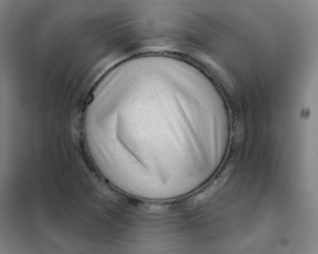 X0000101421361200808041118