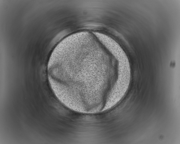 X0000101421362200808041118