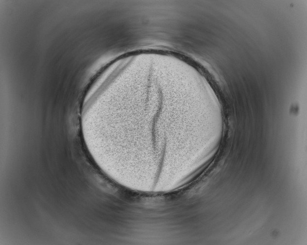 X0000101421363200808041118