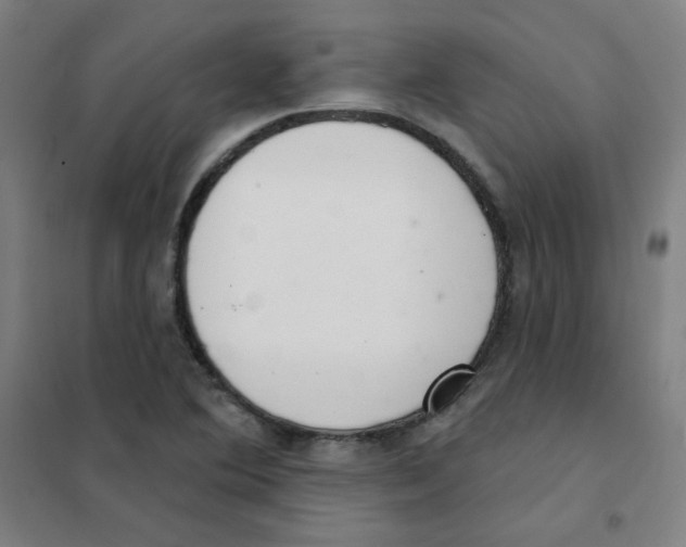 X0000101421364200808041118