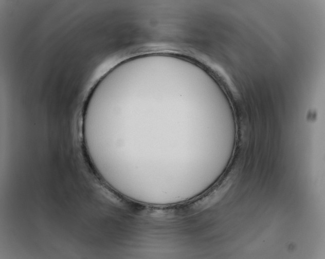 X0000101421365200808041118