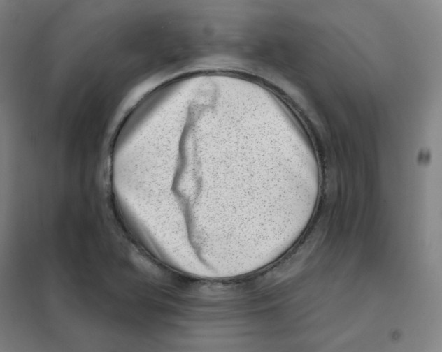 X0000101421366200808041118