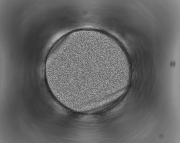 X0000101421367200808041118