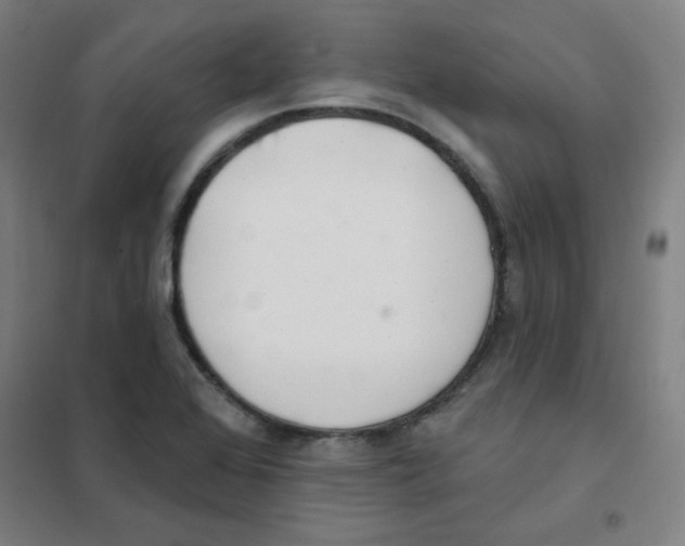 X0000101421368200808041118