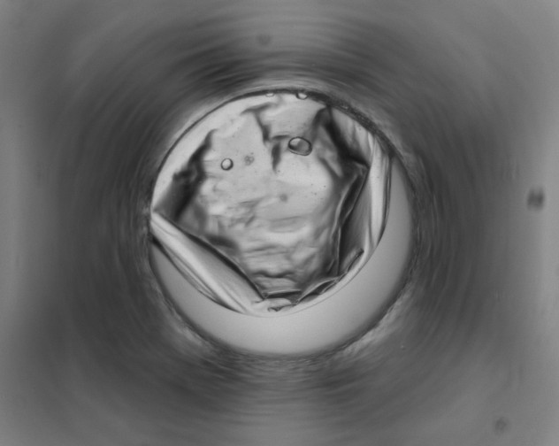 X0000101421369200808041118