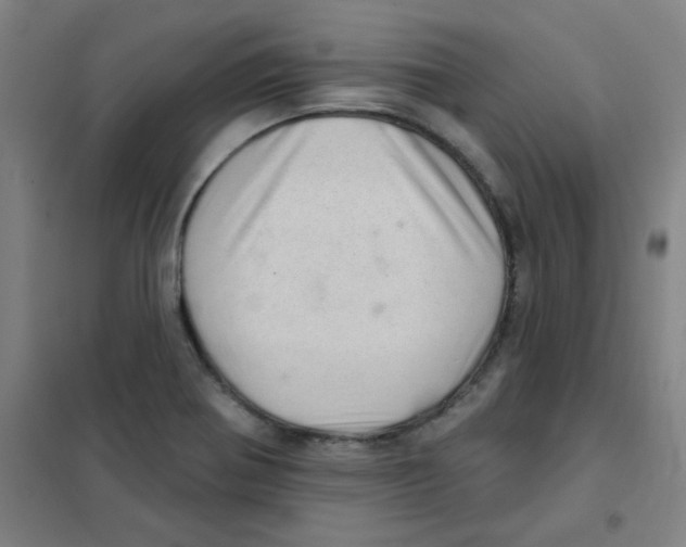 X0000101421370200808041118