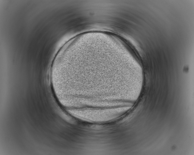 X0000101421371200808041118