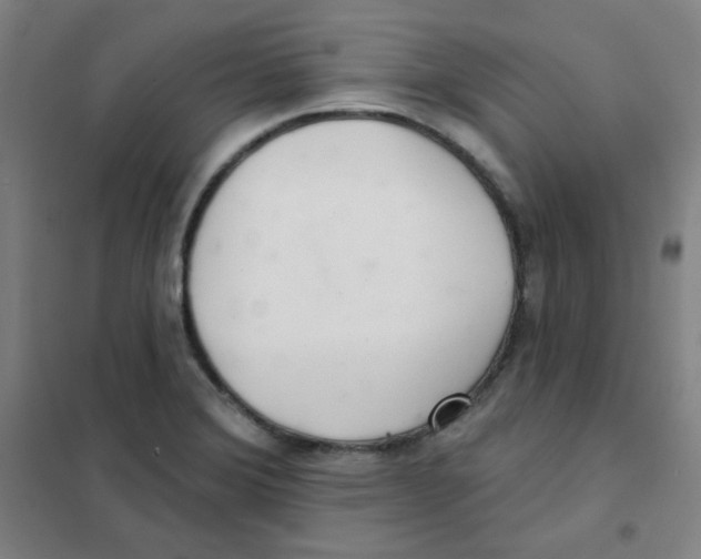 X0000101421372200808041118