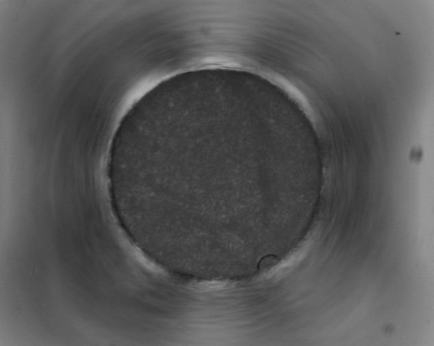 X0000101421373200808041118