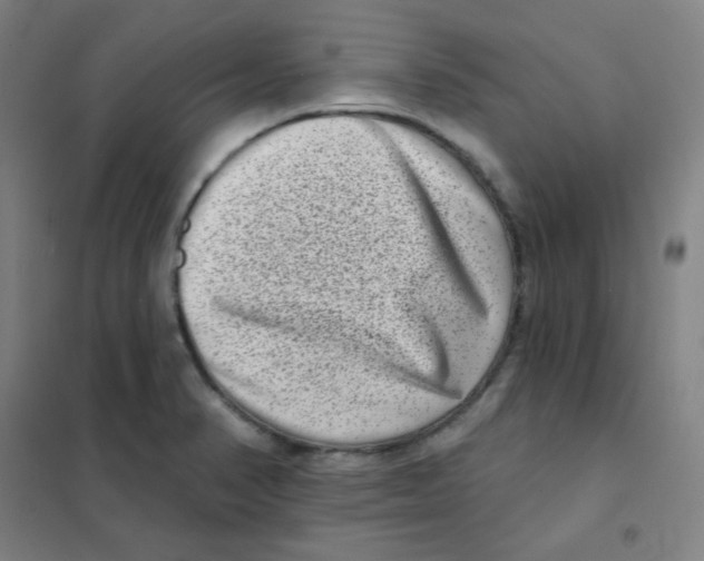 X0000101421374200808041118