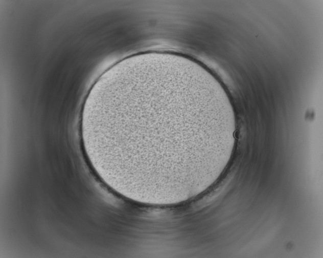 X0000101421375200808041118