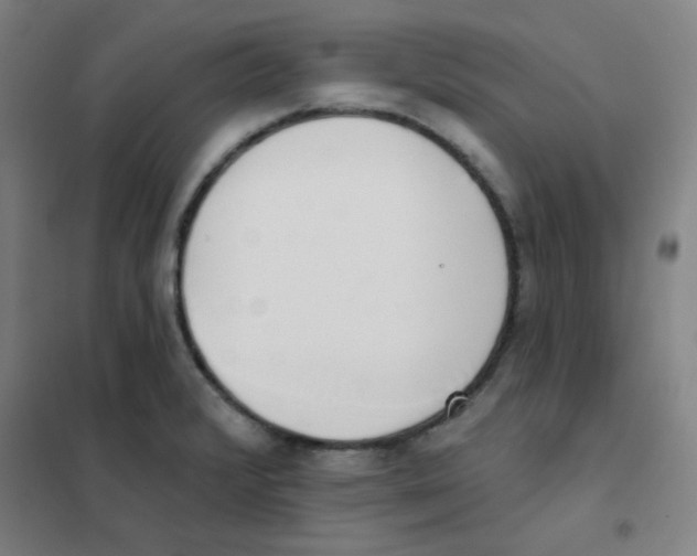 X0000101421376200808041118