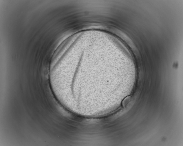 X0000101421377200808041118
