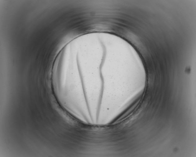 X0000101421378200808041118
