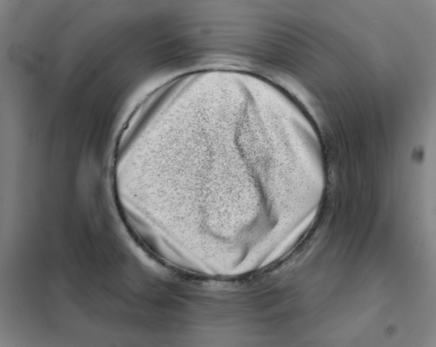 X0000101421379200808041118
