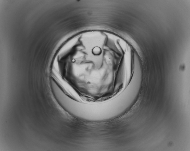 X0000101421380200808041118